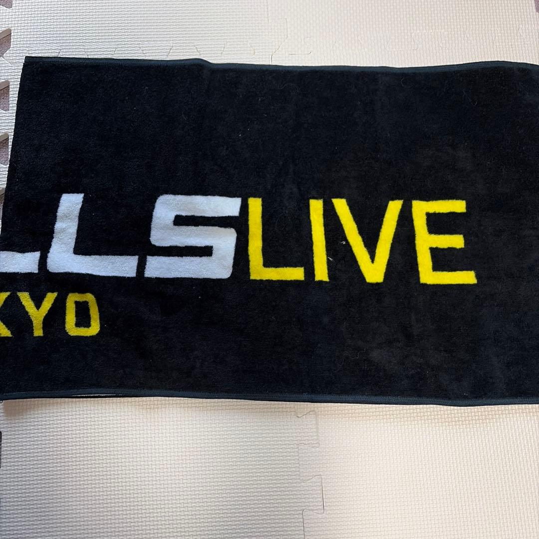 リーボック レズミルズ　スポーツタオル　③ — image 2
