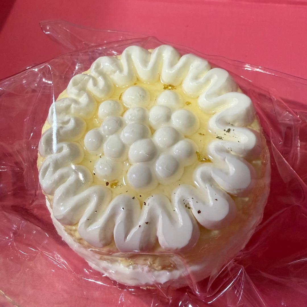 【匿名配送】kikisquishy キキスクイーズ ホールケーキ — image 2