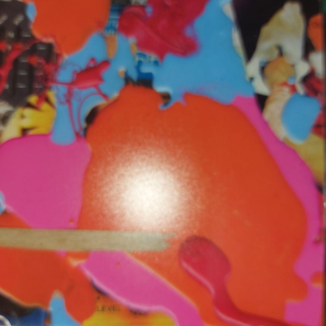 Black Dice / Repo 国内盤 CD — image 3