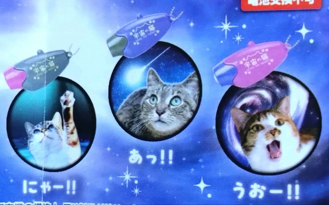 宇宙の猫 ライト ガチャ 3種 — image 2