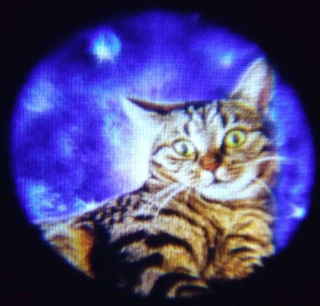 宇宙の猫 ライト ガチャ 3種 — image 3