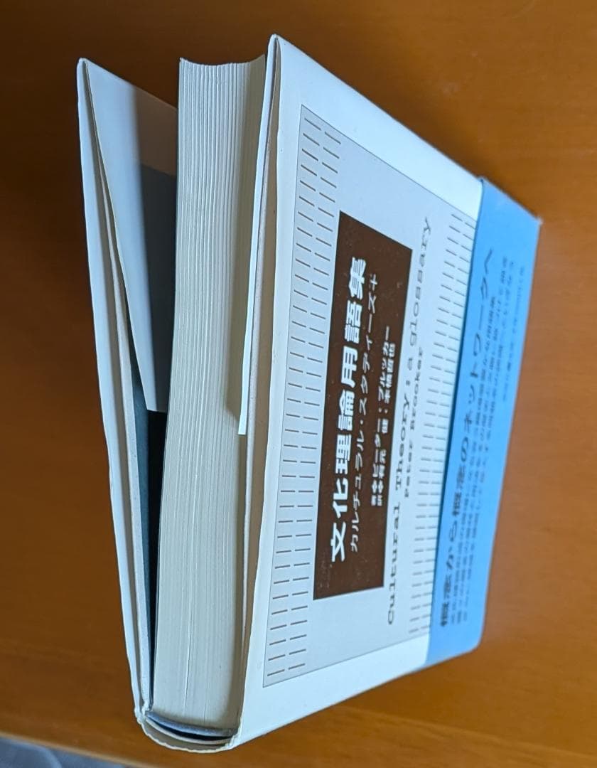 ピーター・ブルッカー『文化理論用語集　カルチュラル・スタディーズ＋』（新曜社） — image 4