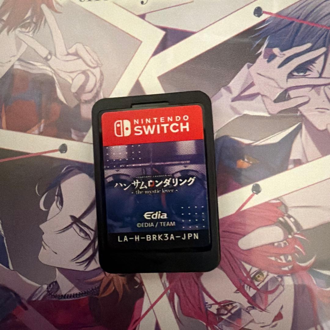 Switch ハンサムロンダリング ザミスティックラバー 通常版 — image 3