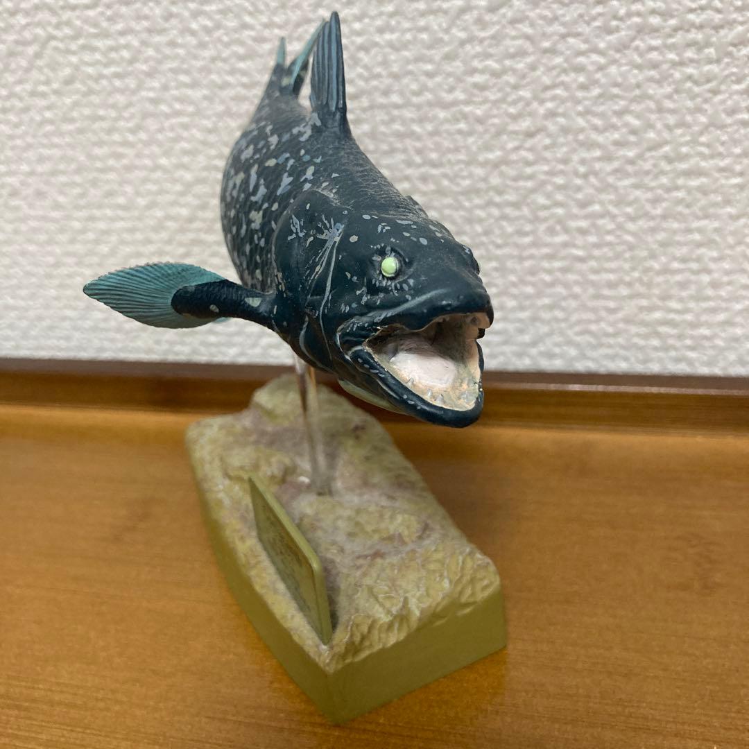 【希少】カロラータ　シーラカンス フィギュア — image 2