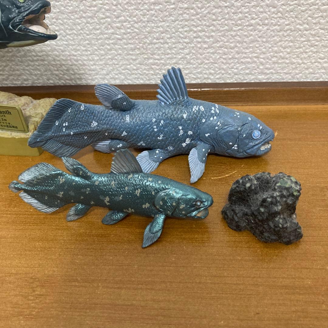 【希少】カロラータ　シーラカンス フィギュア — image 3