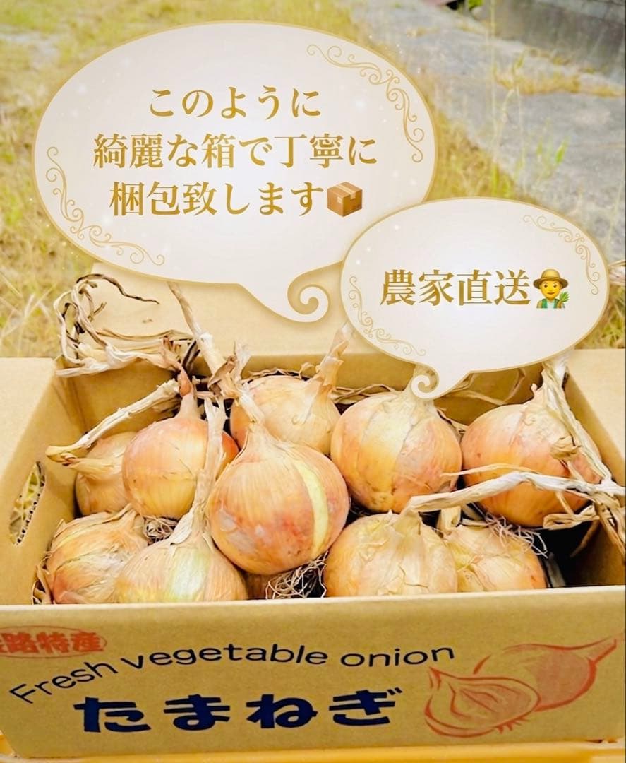【秀品】淡路島減農薬玉ねぎ5kg玉ねぎネットプレゼント根・葉付きのため長期保存可 — image 2