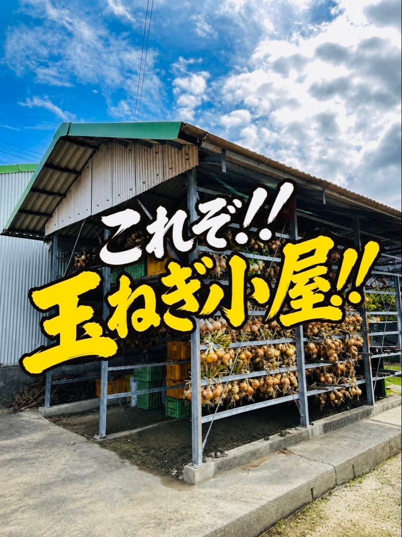 【秀品】淡路島減農薬玉ねぎ5kg玉ねぎネットプレゼント根・葉付きのため長期保存可 — image 5
