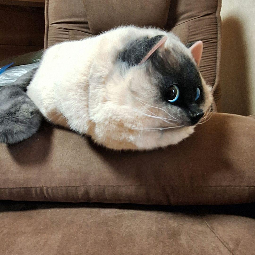猫　ねこ　リアル　ぬいぐるみ　バッグ　Lサイズ — image 3
