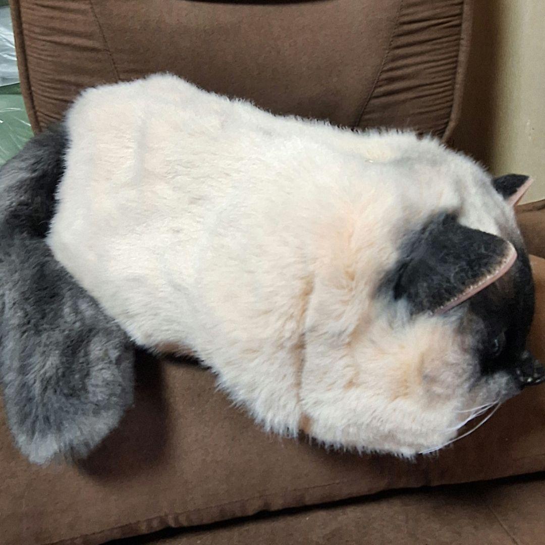 猫　ねこ　リアル　ぬいぐるみ　バッグ　Lサイズ — image 4