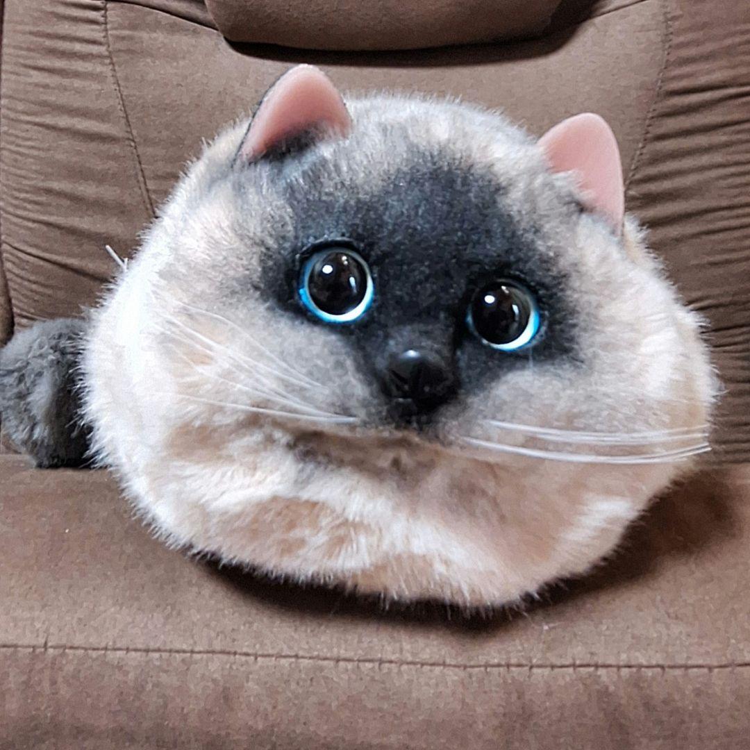猫　ねこ　リアル　ぬいぐるみ　バッグ　Lサイズ — image 5