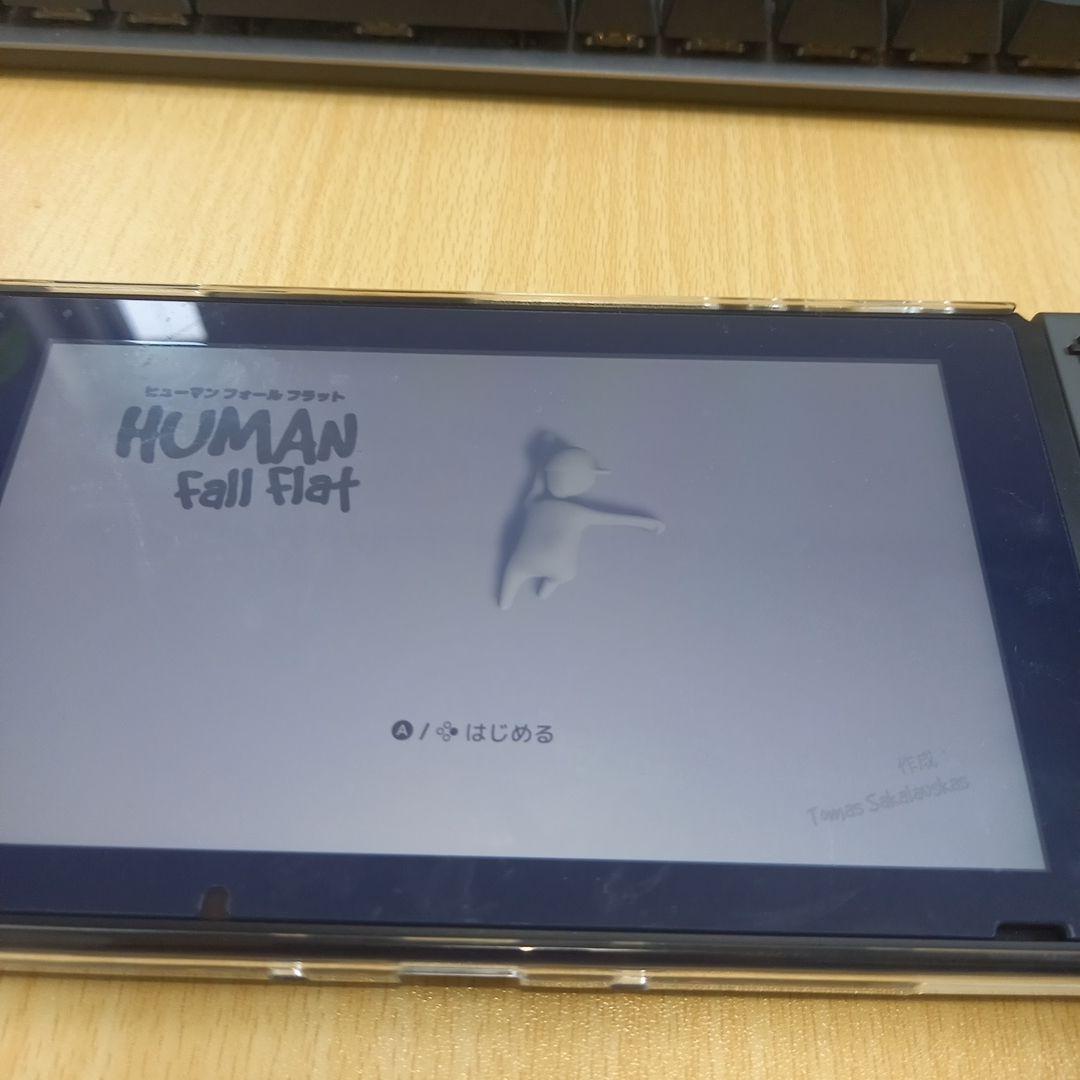 ヒューマン フォール フラット — image 5