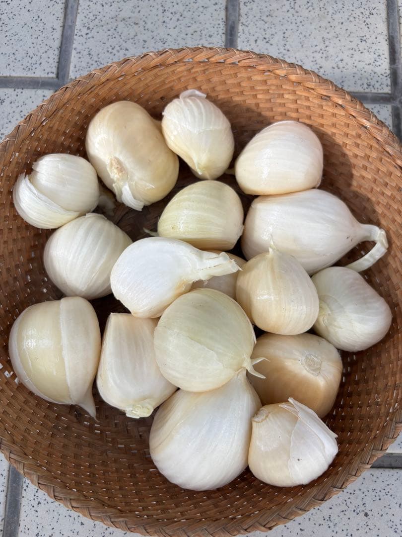 ジャンボニンニク(期間限定約1.2kg) — image 3