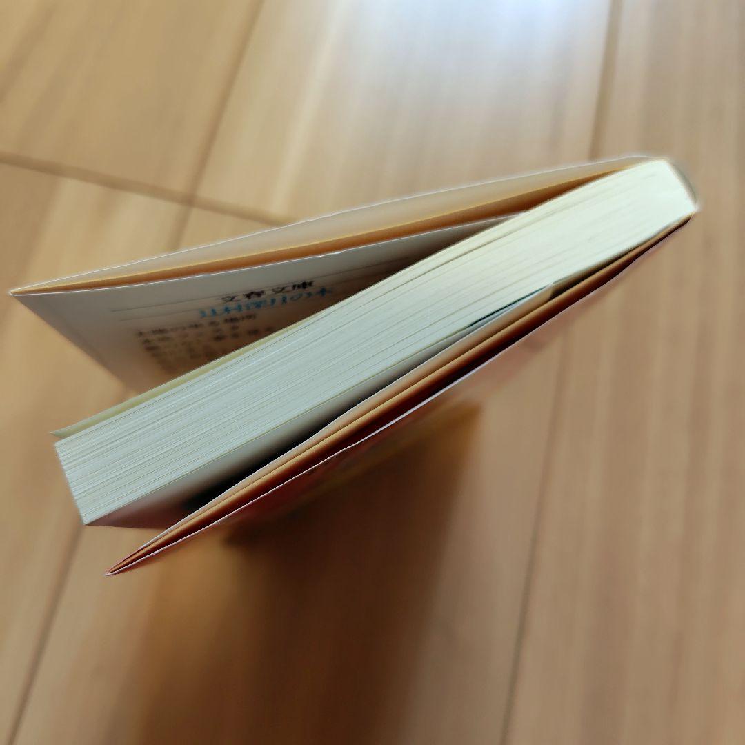 嘘つきジェンガ — image 3