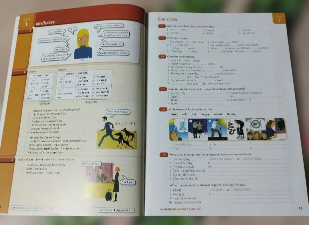 Essential Grammar in Use　英語 英文法 — image 3