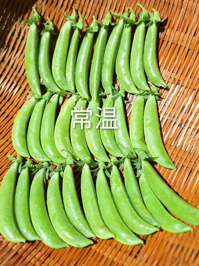スナップえんどう 500g 新鮮野菜 — image 2