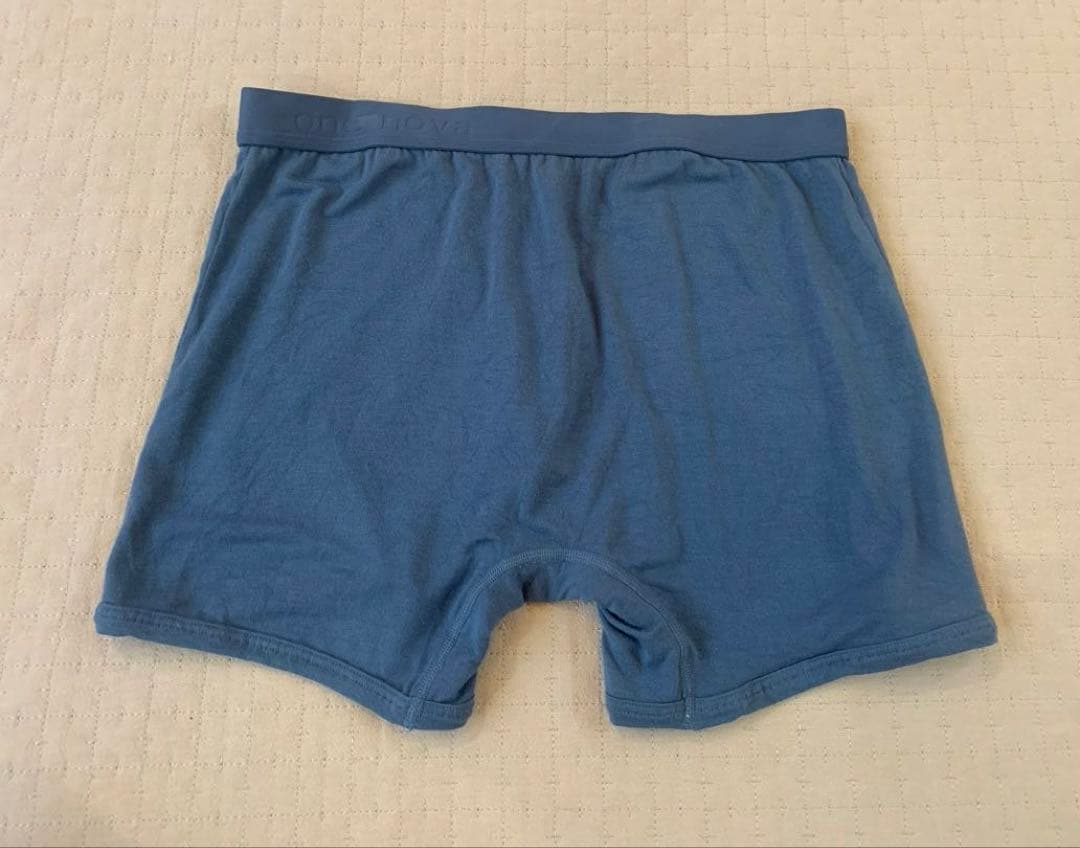 one nova 3D Boxer Brief Lサイズ Cyan — image 3