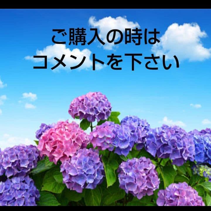 中学夏の課題テスト　中学学力テスト　中学テスト　中学フクト　中学過去問　中学1年 — image 2