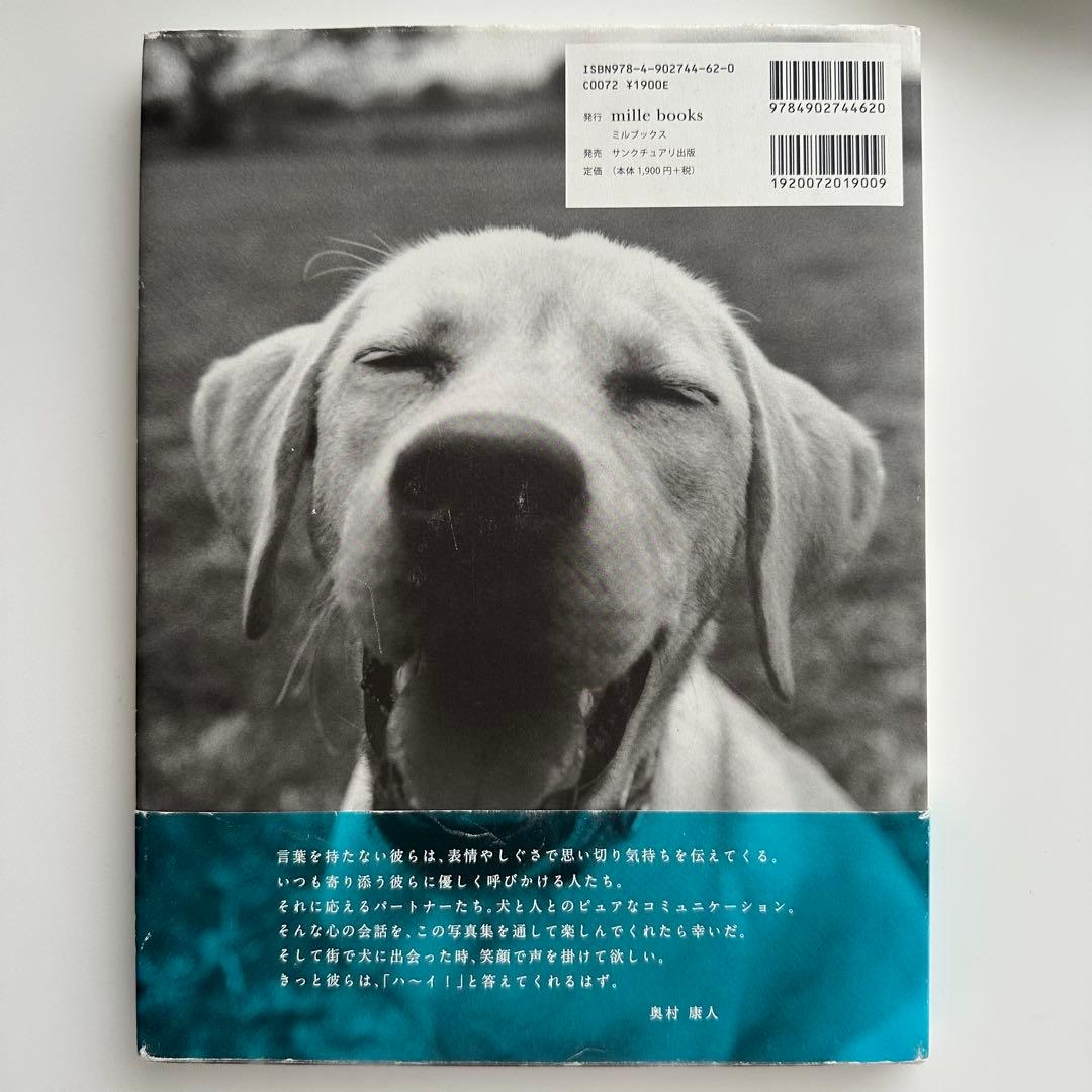 【帯付】奥村康人 写真集『Hi! Dear』犬 フォトブック インテリア — image 2