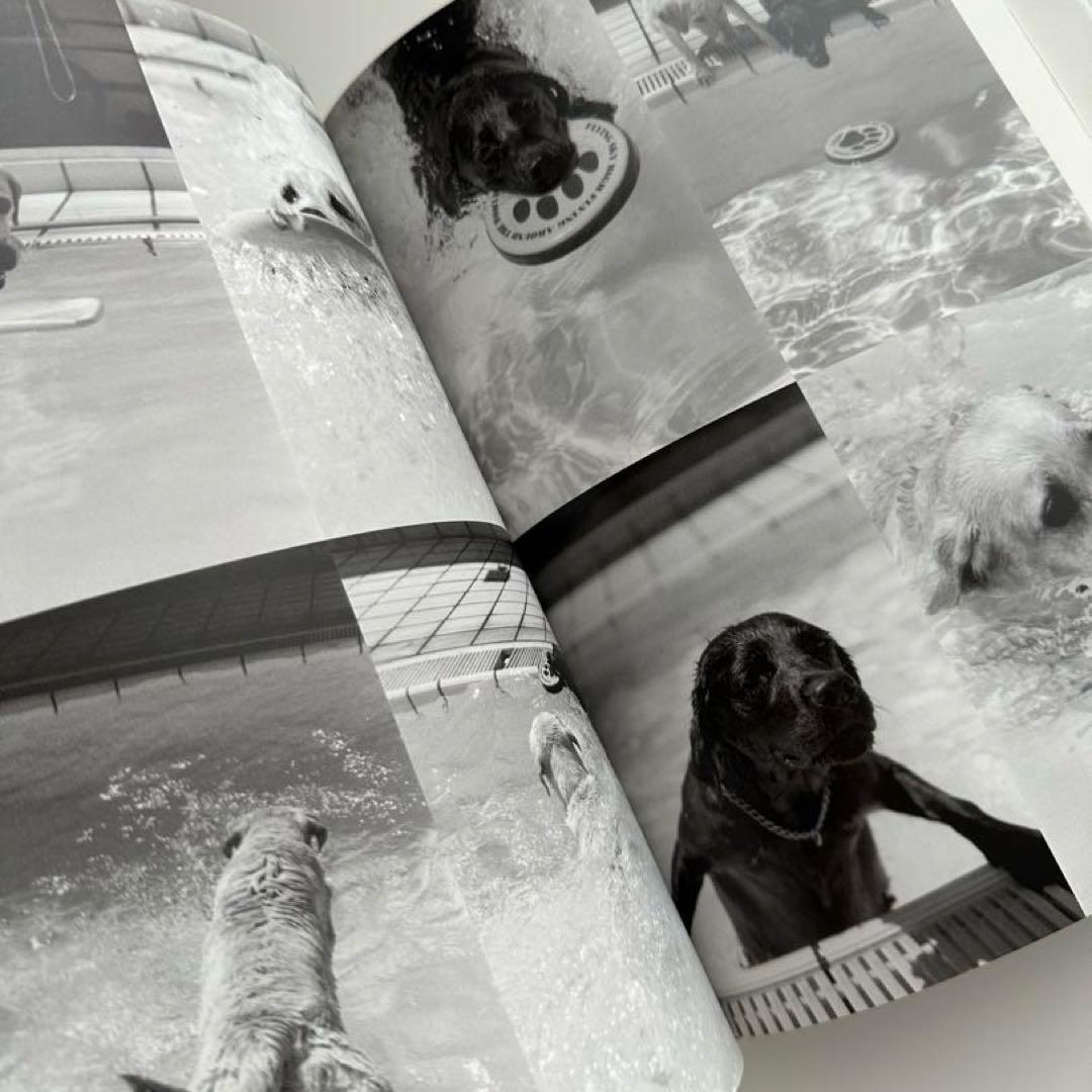 【帯付】奥村康人 写真集『Hi! Dear』犬 フォトブック インテリア — image 3