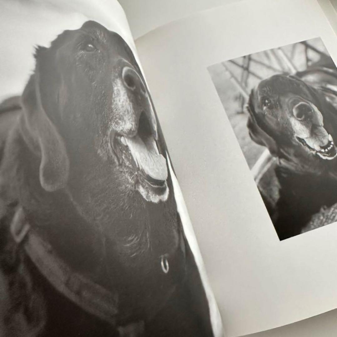 【帯付】奥村康人 写真集『Hi! Dear』犬 フォトブック インテリア — image 4