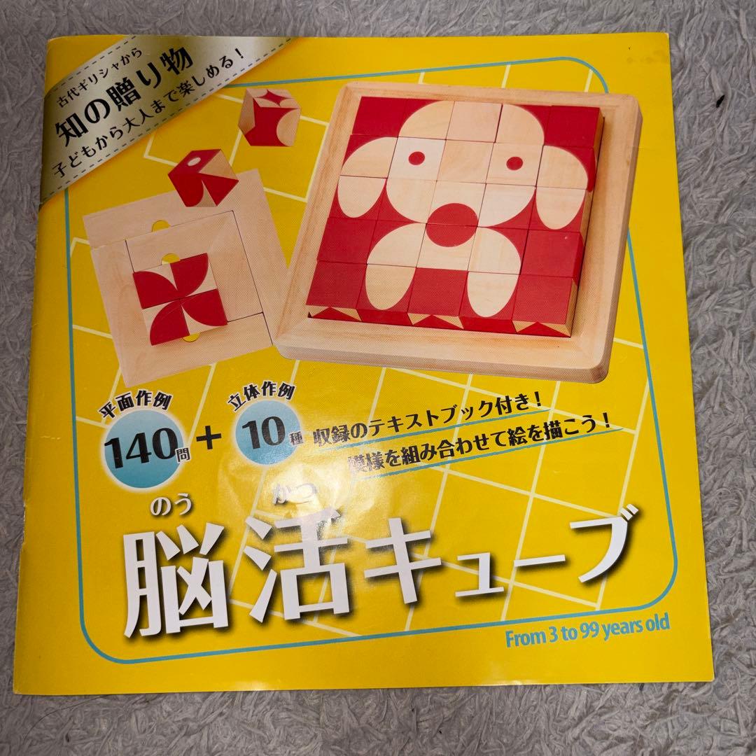 【GENI】脳活キューブ　知育玩具　木製パズル　テキストブック付き — image 2