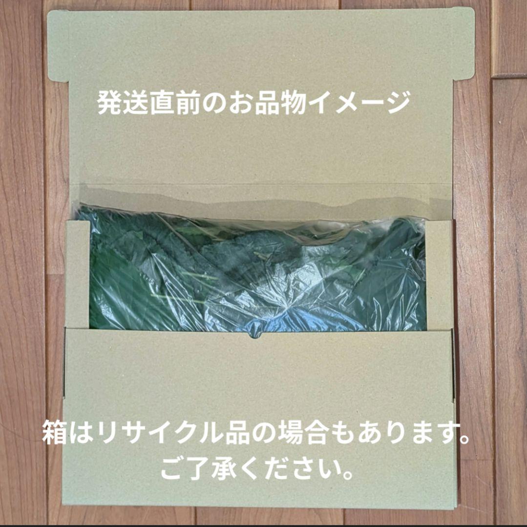【匿名配送】桑の葉 300g　ネコポス箱いっぱい — image 2