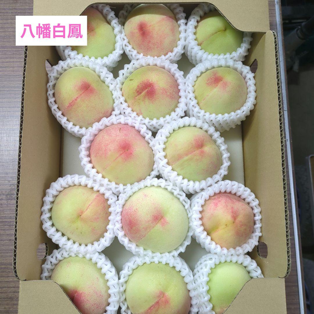 うららか様専用ページ — image 2