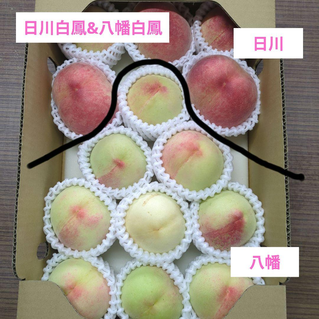 うららか様専用ページ — image 4