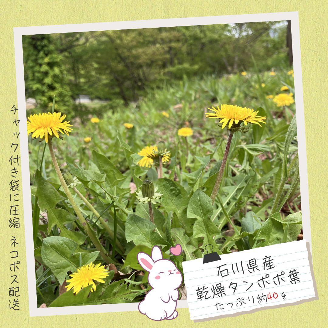 iwaaさま　まとめ商品80g — image 2