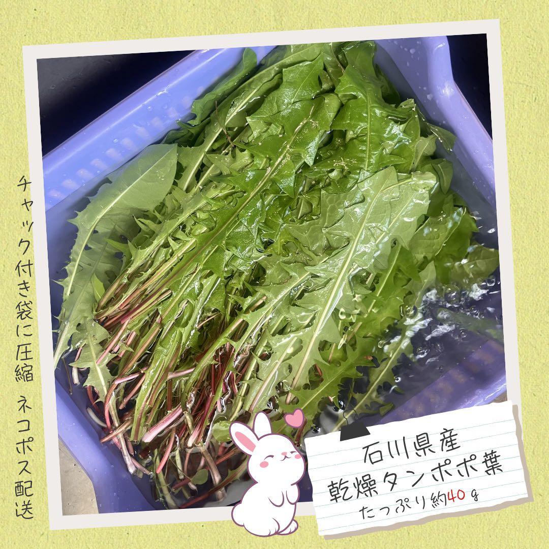 iwaaさま　まとめ商品80g — image 3