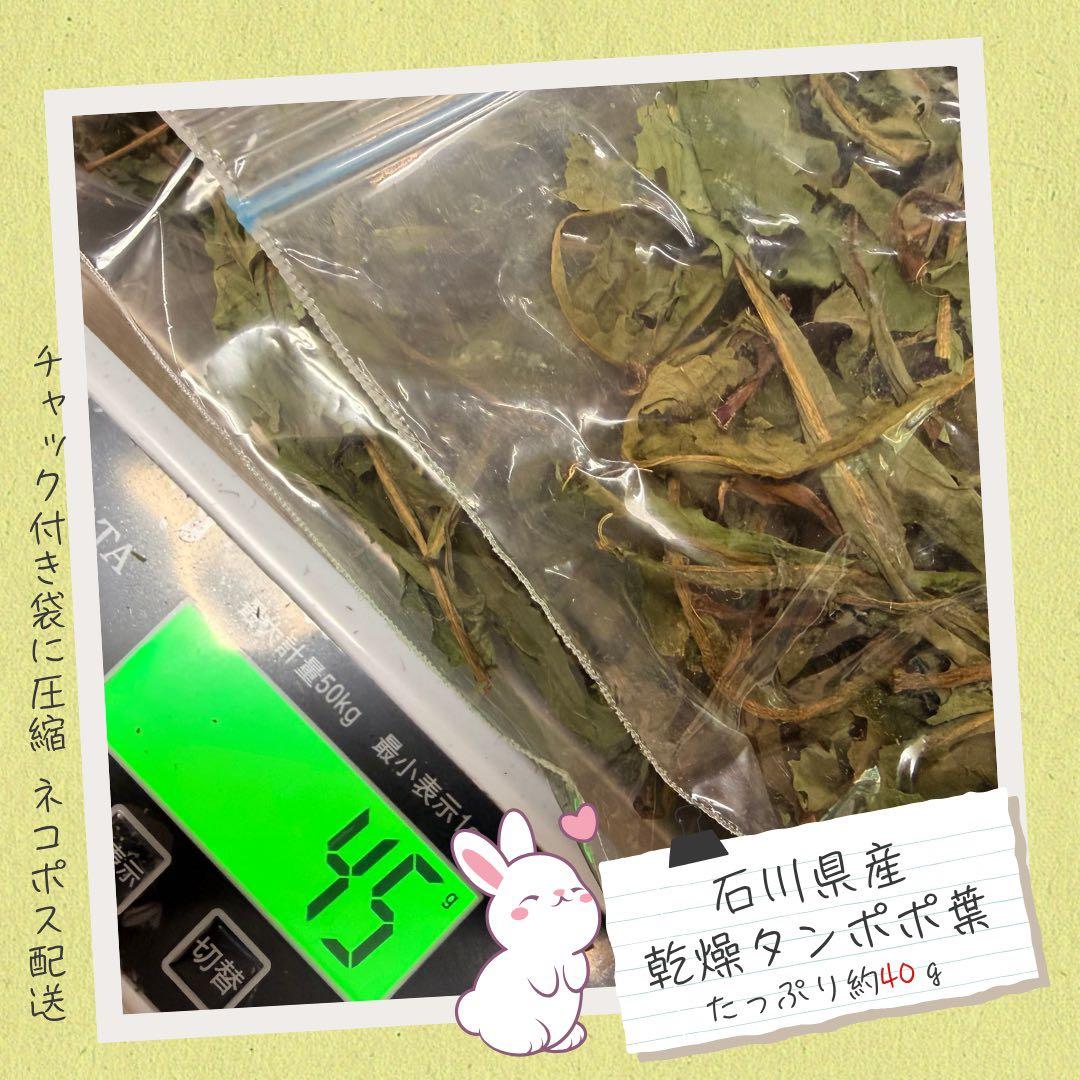 iwaaさま　まとめ商品80g — image 4