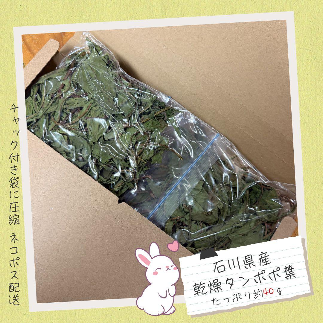iwaaさま　まとめ商品80g — image 5