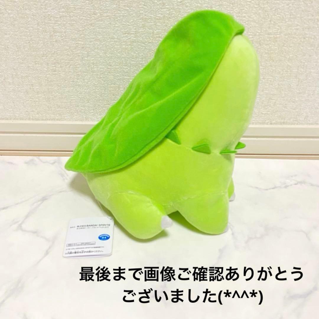 《ポケモン/ポケットモンスター》もふぐっと ほぺぴたぬいぐるみ チコリータ — image 2