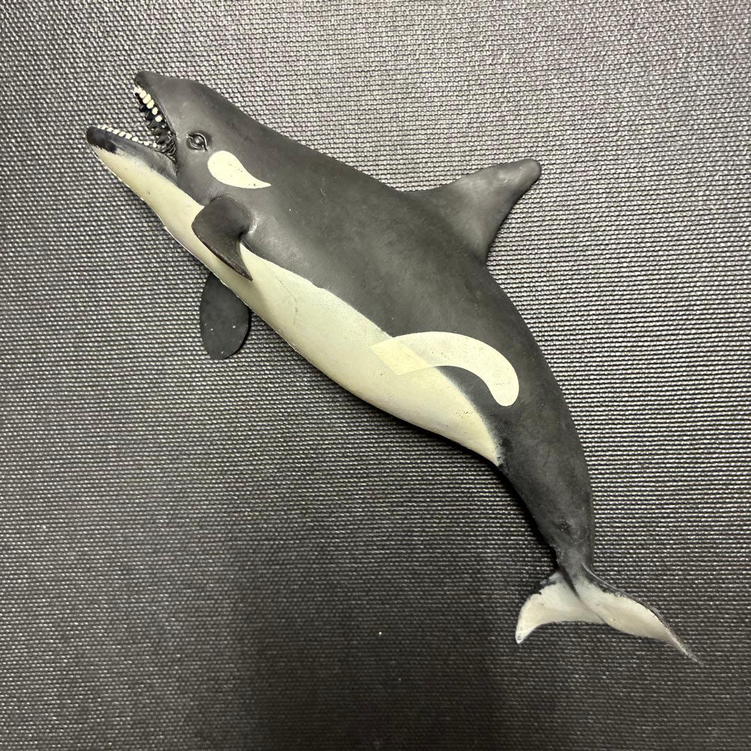 シャチ　ブックレット くじら　&co デアゴスティーニ　アンドコ — image 2