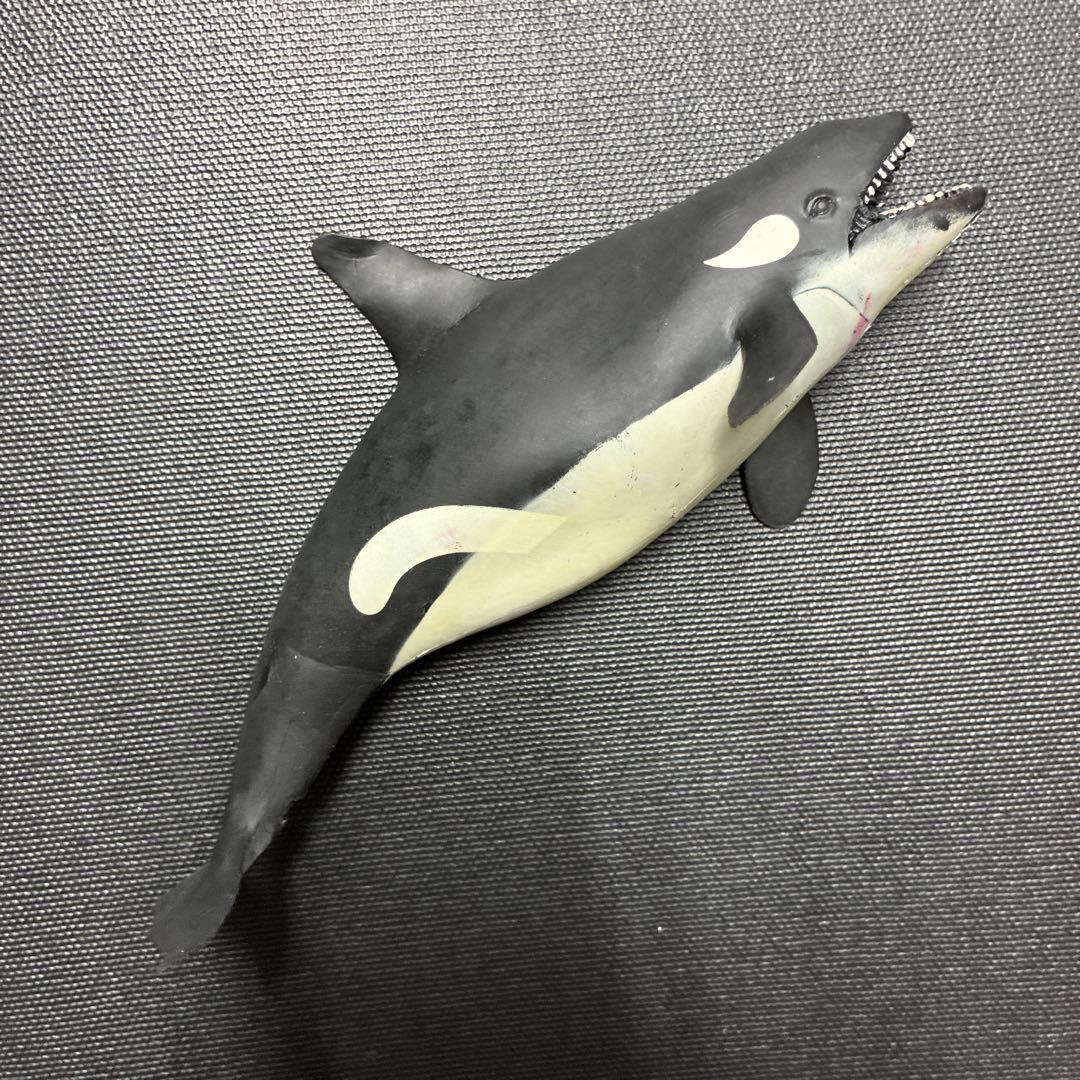 シャチ　ブックレット くじら　&co デアゴスティーニ　アンドコ — image 3