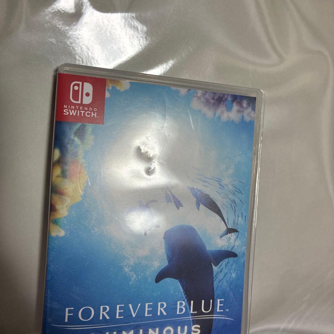 FOREVER BLUE LUMINOUS Nintendo Switch — image 2