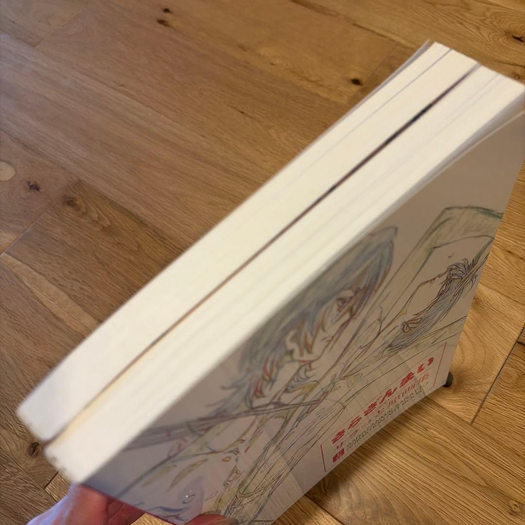 【初版・セット】 さらざんまい サラっと原画集 上巻下巻セット — image 2