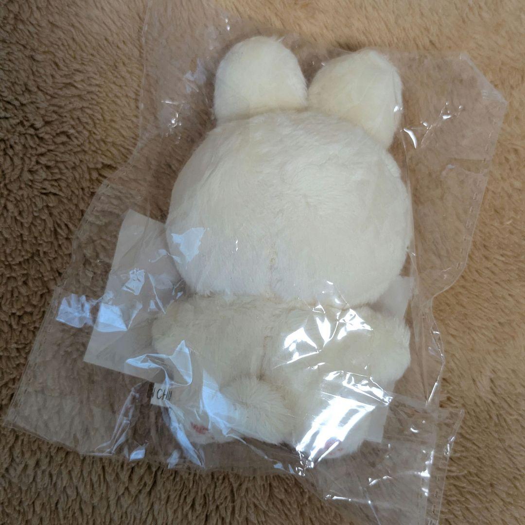 セブチ ドギョム 10cm ぬいぐるみ マスター 도토리 — image 2