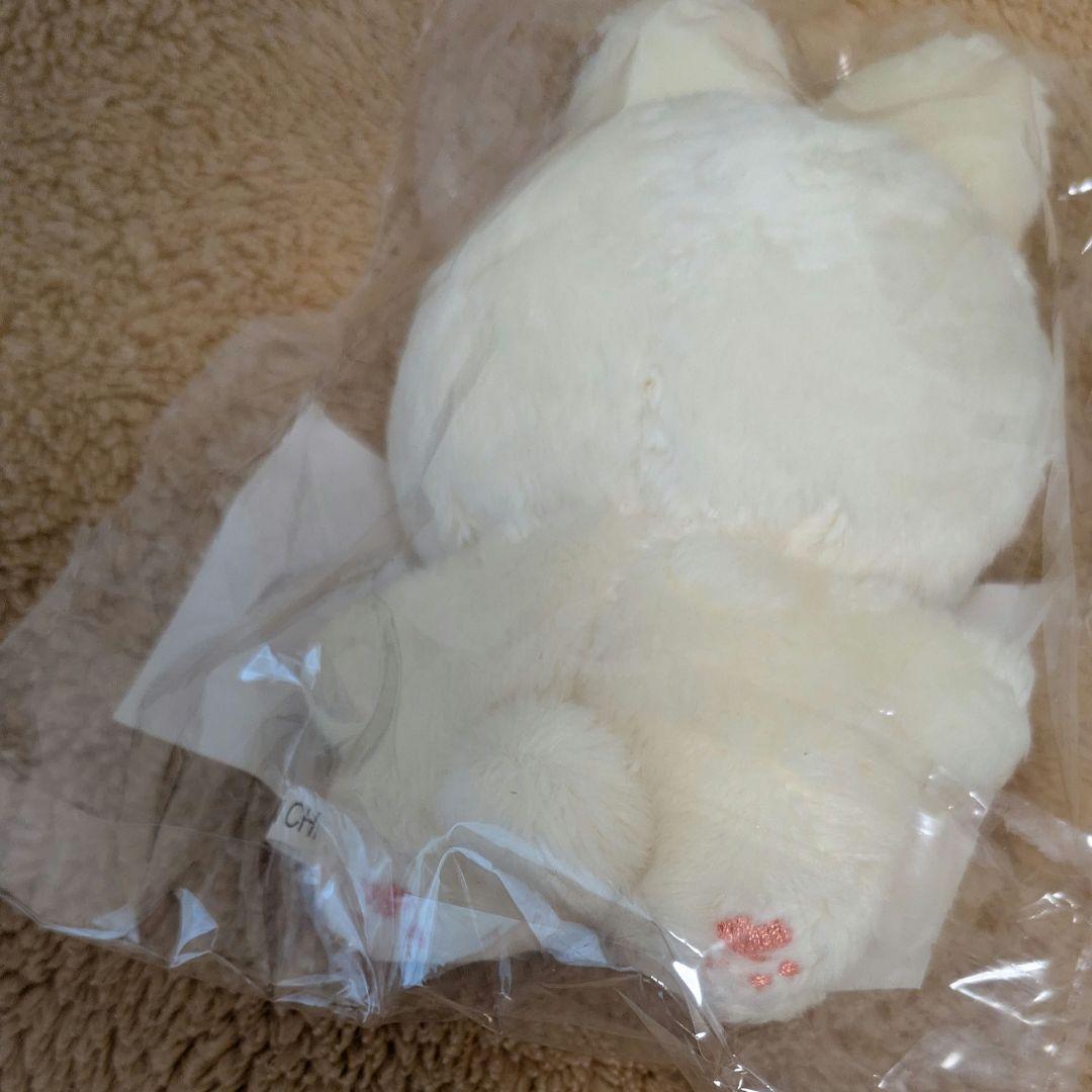 セブチ ドギョム 10cm ぬいぐるみ マスター 도토리 — image 3