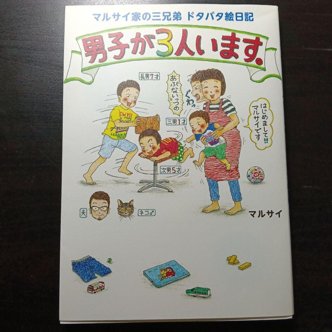 男子が3人います。 マルサイ家の三兄弟 ドタバタ絵日記 — image 2