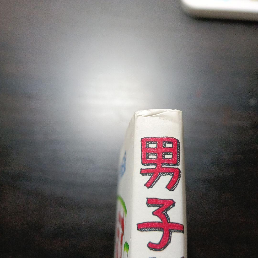 男子が3人います。 マルサイ家の三兄弟 ドタバタ絵日記 — image 4