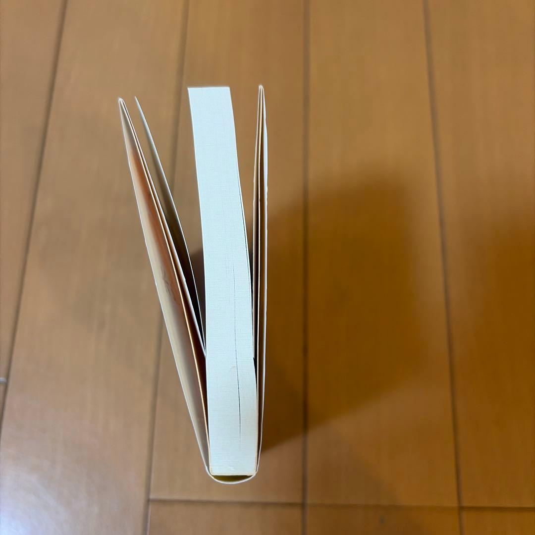 木洩れ日に泳ぐ魚 — image 2