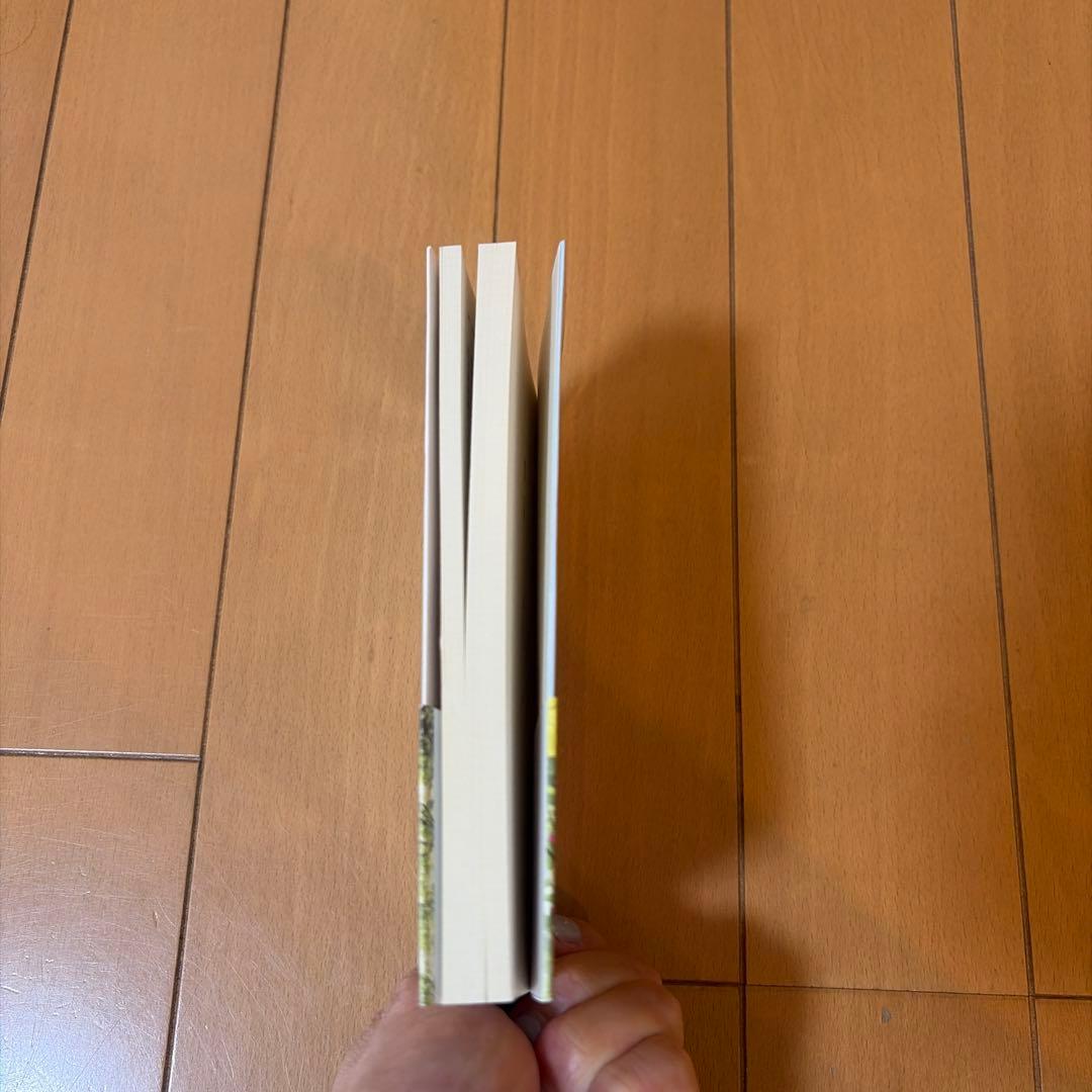 木洩れ日に泳ぐ魚 — image 3
