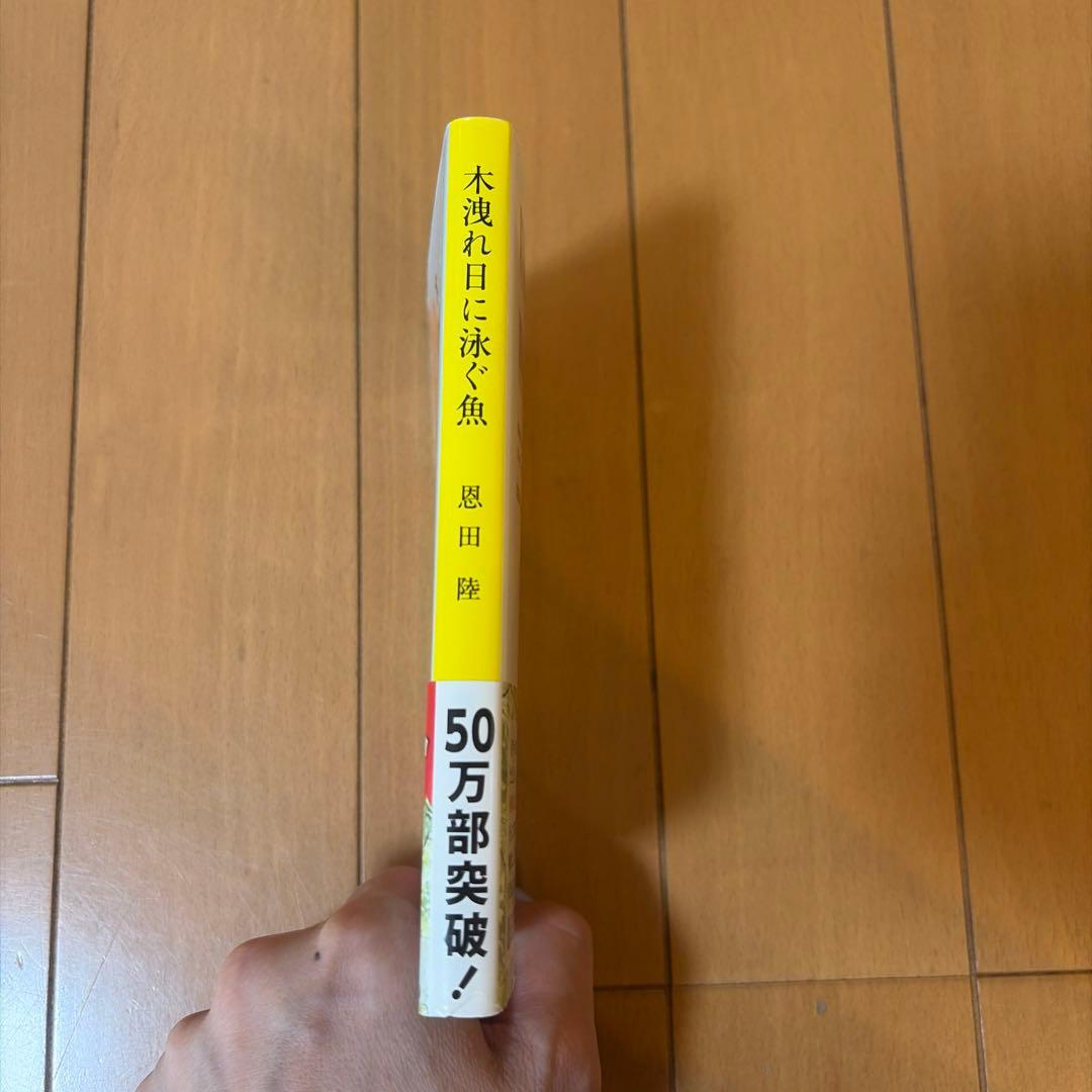 木洩れ日に泳ぐ魚 — image 4