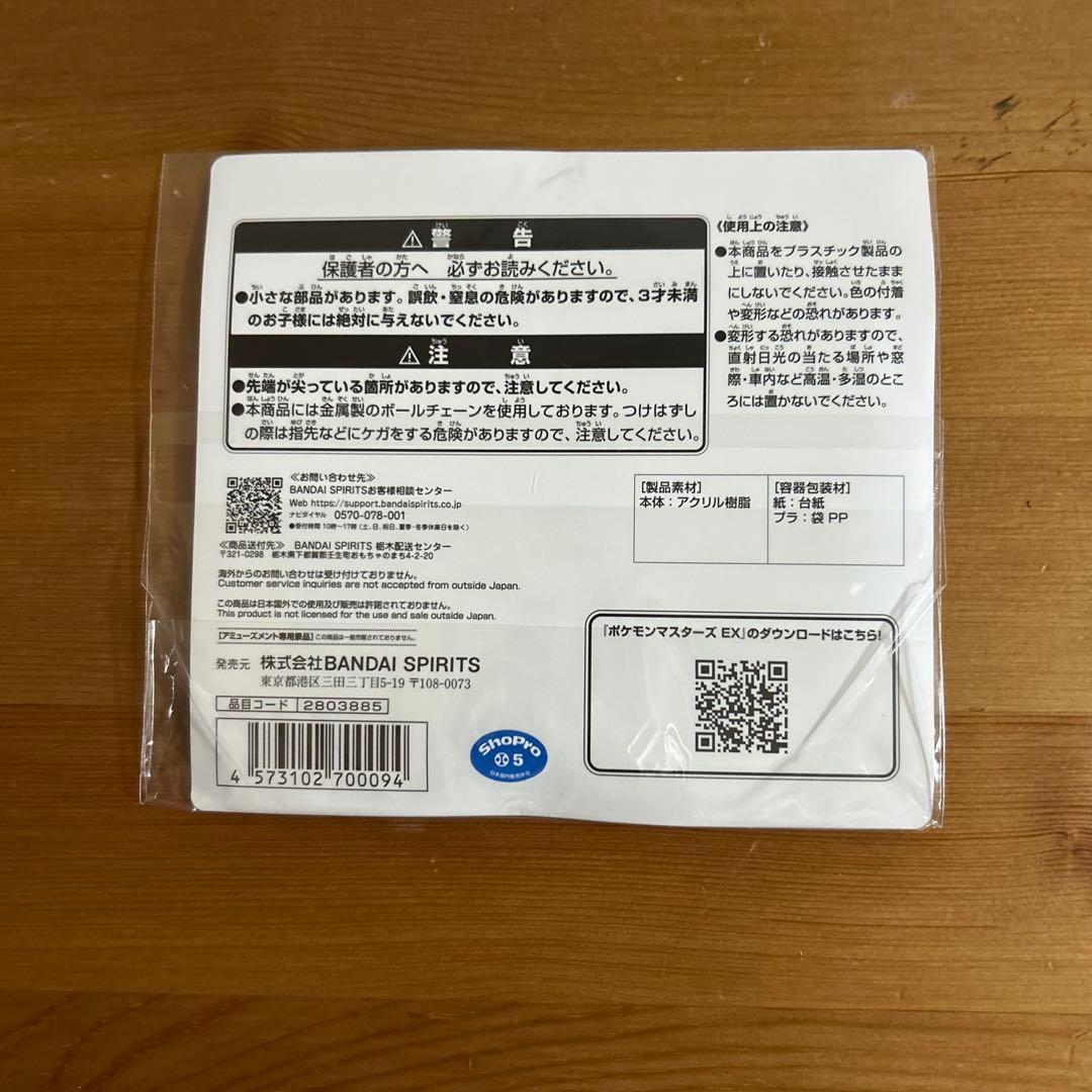 ポケモンマスターズEX ツインアクリルキーホルダー　ダイゴ　メタグロス　① — image 2