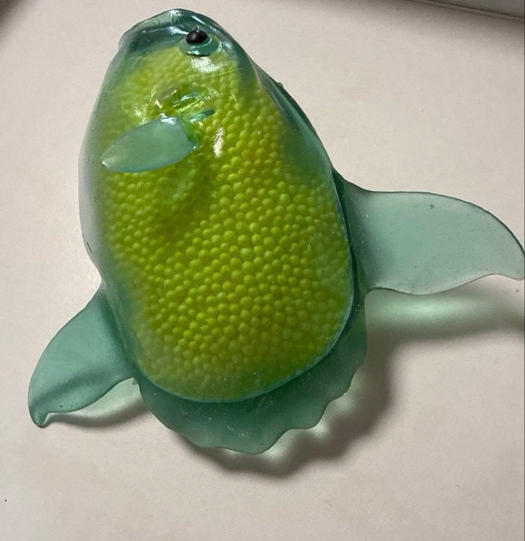 くじらアタック&co. アンドコ スーパーレア マンボウ　応募券付き — image 5