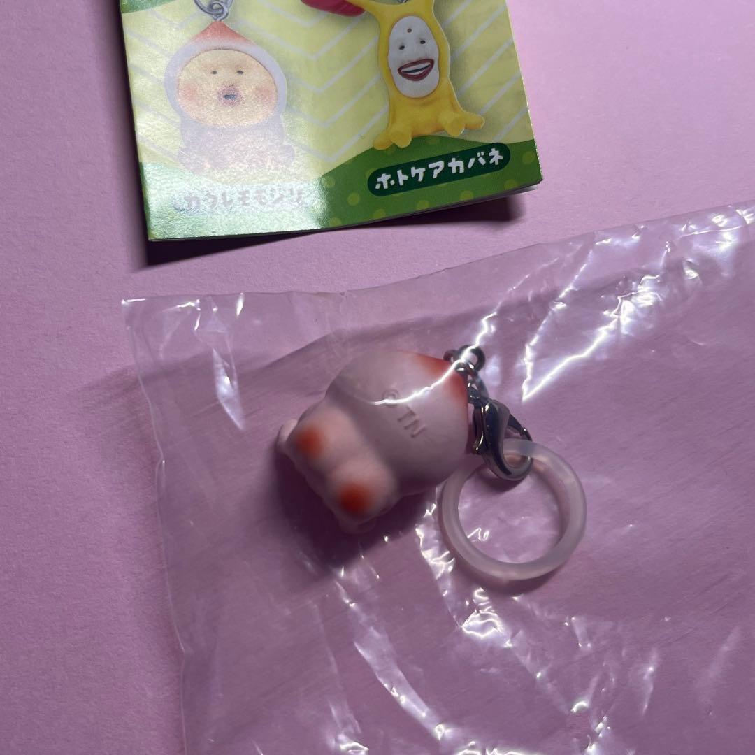 こびとづかん めじるしフレンズ　カクレモモジリ — image 2