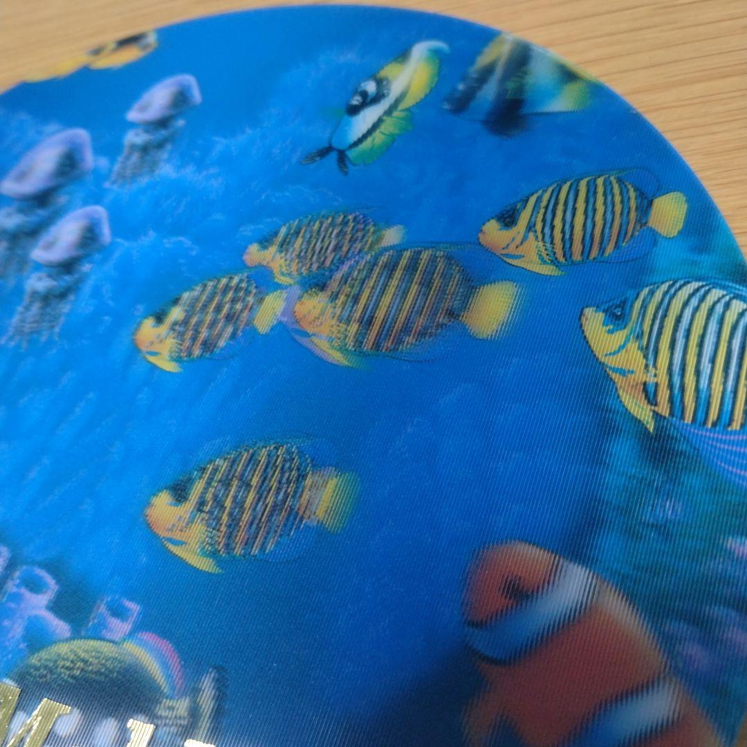 Maldives 海中デザイン 3D 丸型うちわ 　クマノミ　チョウチョウウオ — image 5