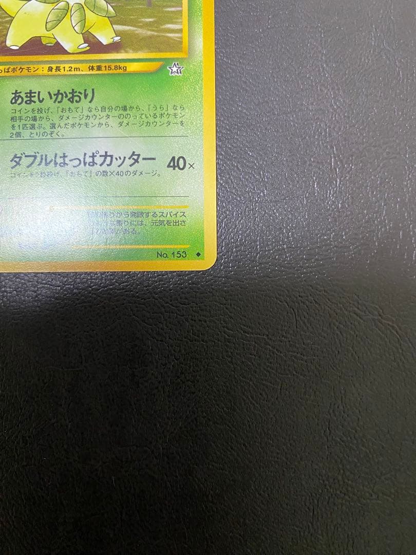ベイリーフ　旧裏 — image 4