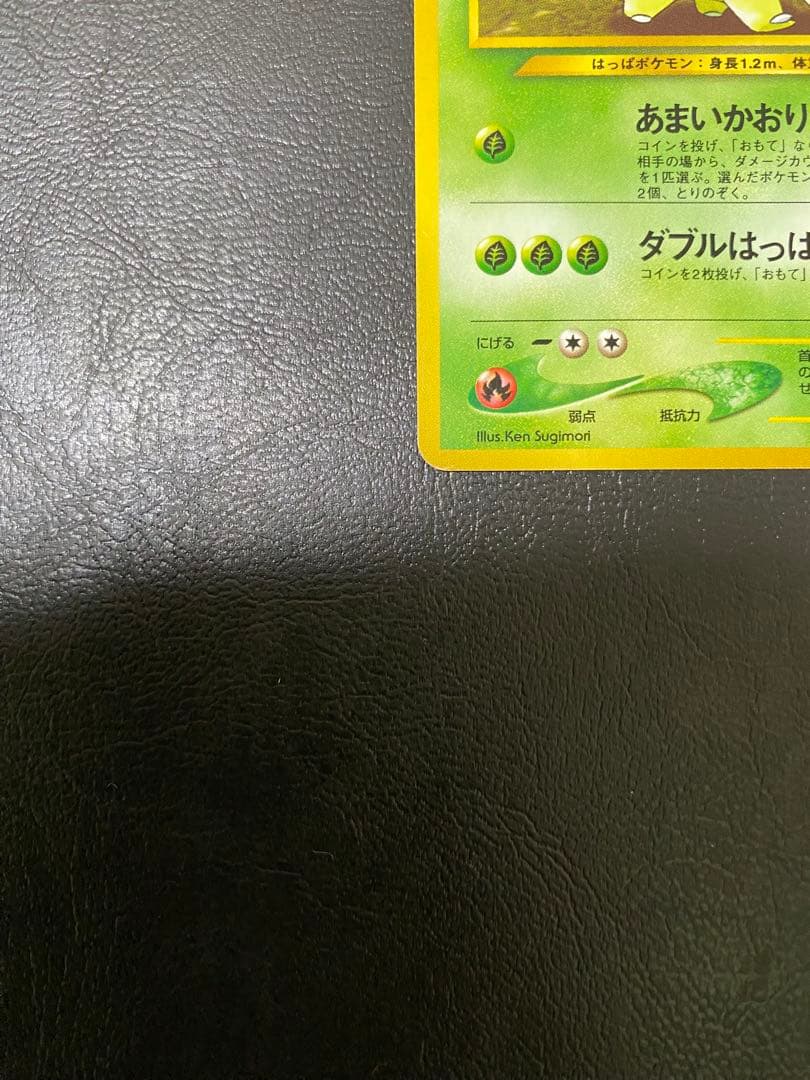 ベイリーフ　旧裏 — image 5